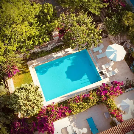 ホテル Zeytin アラカティ