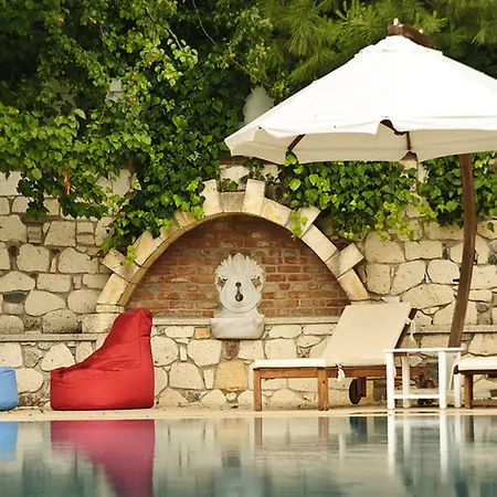 Zeytin アラカティ