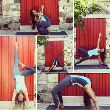 Zeytin アラカティ