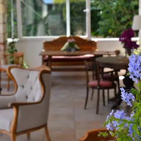 Zeytin アラカティ