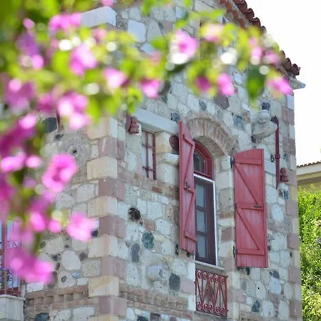 ホテル Zeytin アラカティ