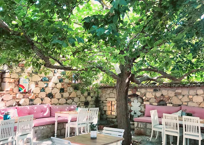 Otel Zeytin