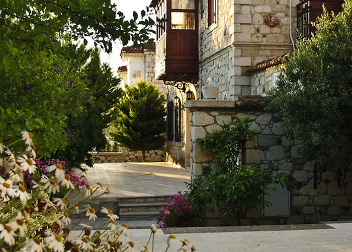Zeytin