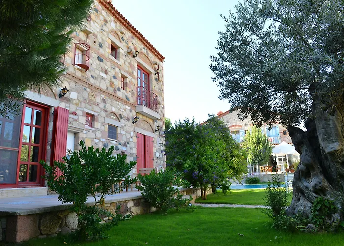 Zeytin