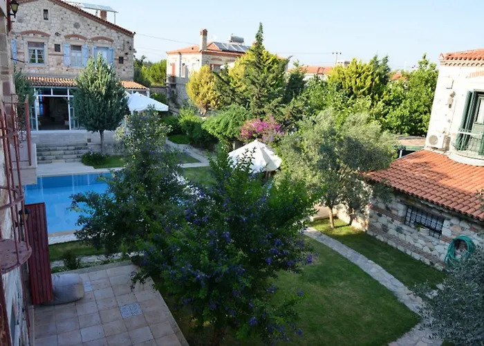 Zeytin Alaçatı