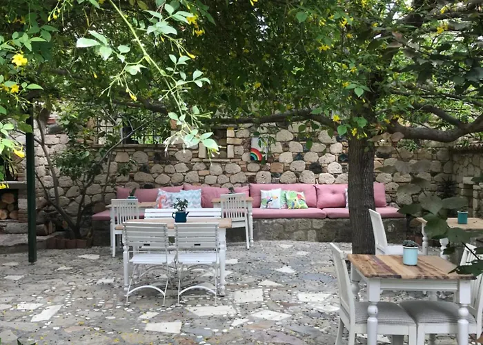 Zeytin 3*
