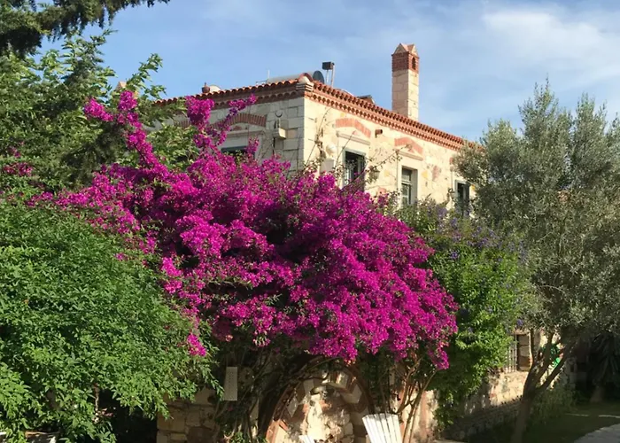 Zeytin Otel