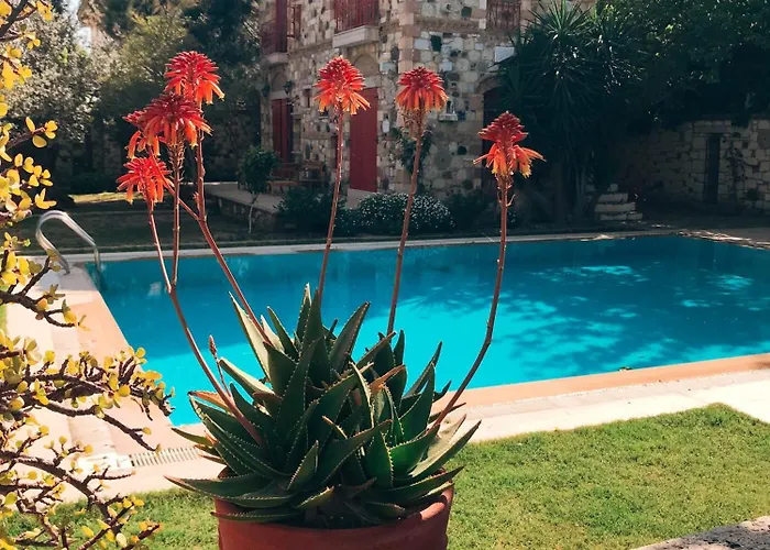 Zeytin Otel 3*
