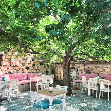 Hotel Zeytin
