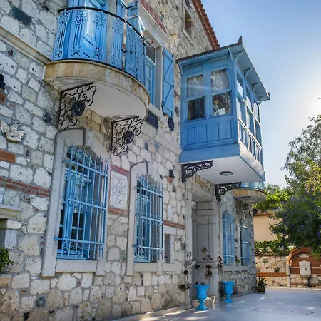 Zeytin Alacati