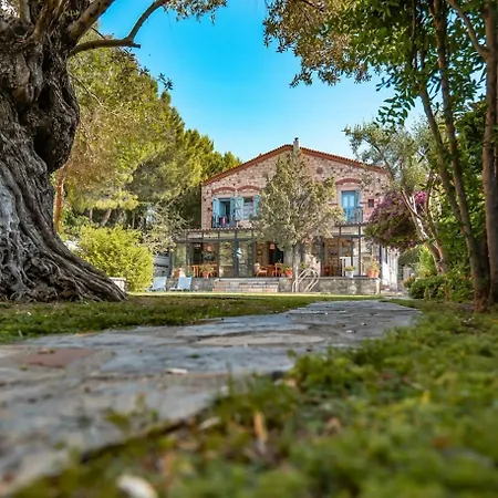 Hotel Zeytin