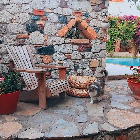 Отель Zeytin Алачати